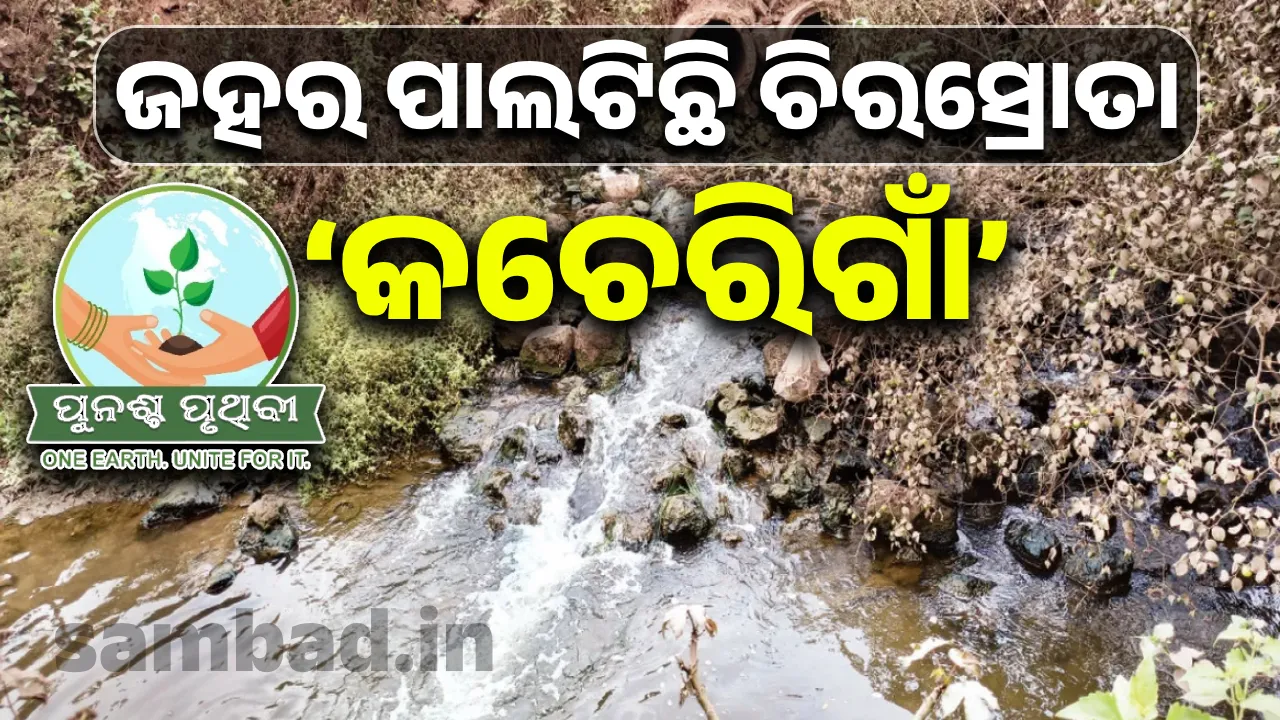  ଜହର ପାଲଟିଛି ଚିରସ୍ରୋତା ‘କଚେରିଗାଁ’