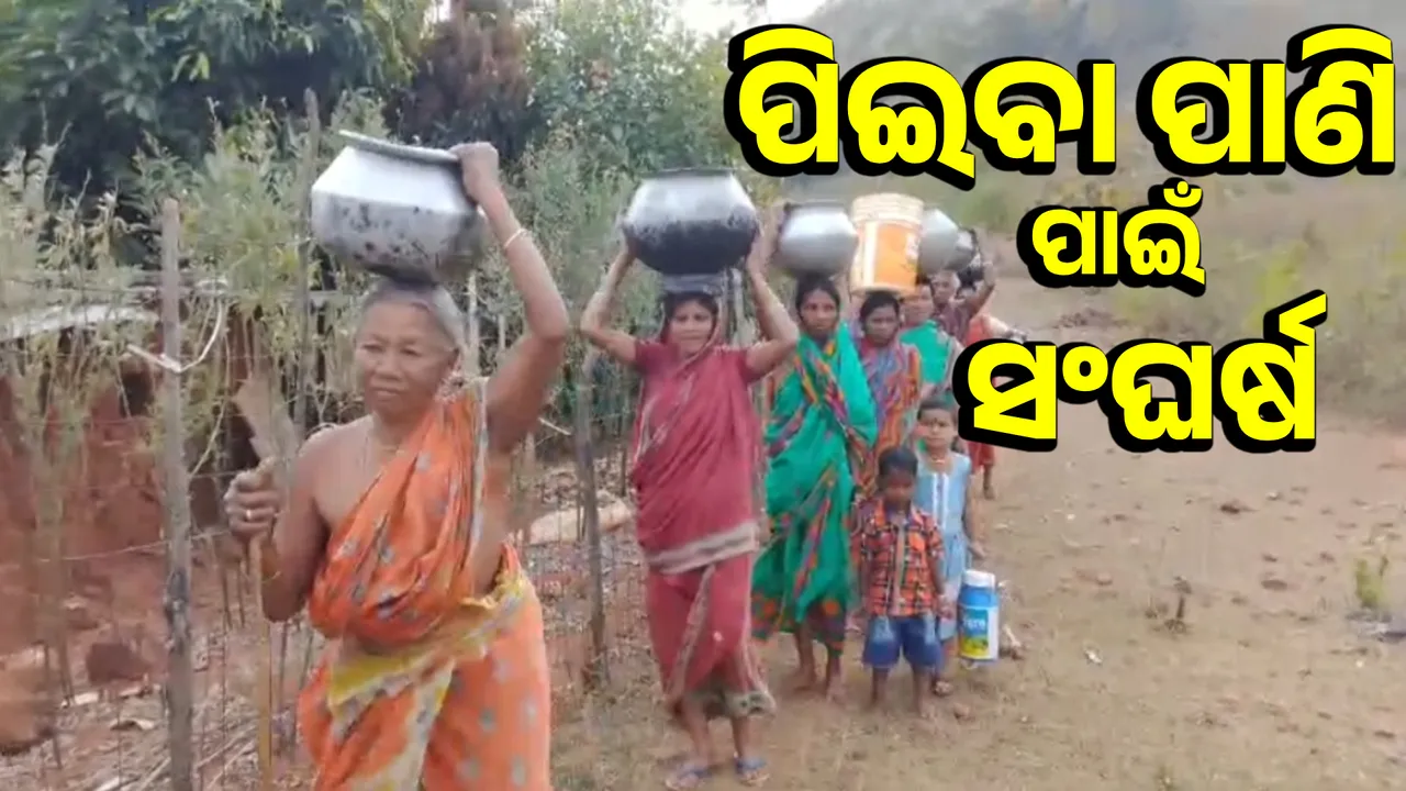  ଟୋପାଏ ପିଇବା ପାଣି ପାଇଁ ଦୁଇ କିମି ଚାଲିଚାକୁ ପଡୁଛି Photograph: (sambad.in) 