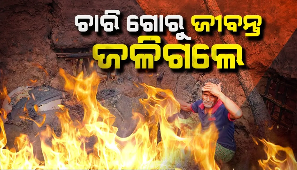  ଆକସ୍ମିକ ଅଗ୍ନିକାଣ୍ଡ:  ୪ ଜର୍ସି ଗାଈ ଜୀବନ୍ତ ଦଗ୍ଧ, ଲକ୍ଷାଧିକ ଟଙ୍କାର ସମ୍ପତ୍ତି ପୋଡ଼ିପାଉଁଶ