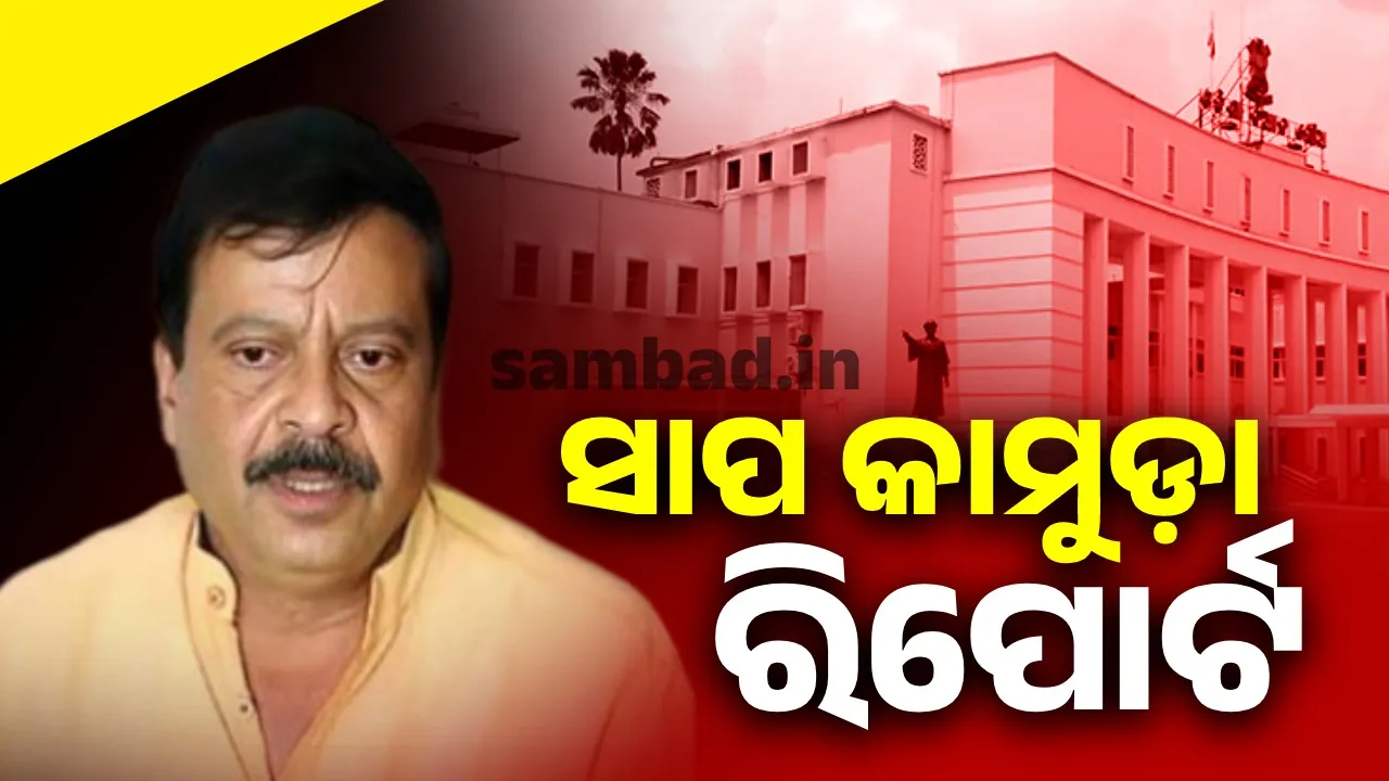  1,859 people died due to snake bites in Odisha in 2 years: Minister Photograph: (sambad.in) 