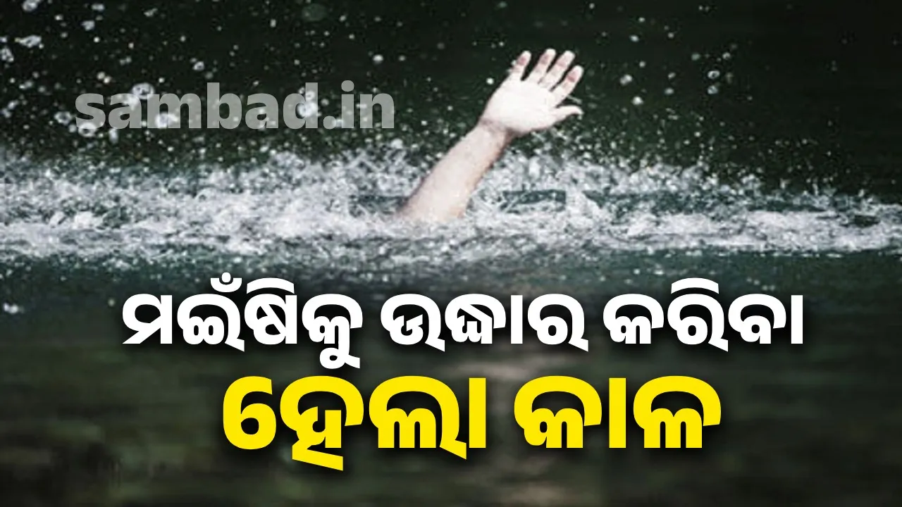  ମଇଁଷିକୁ ବଞ୍ଚାଇବାକୁ ଯାଇ ୫ଜଣ ପିଲାଙ୍କ ଉଡ଼ିଗଲା ପ୍ରାଣବାୟୁ