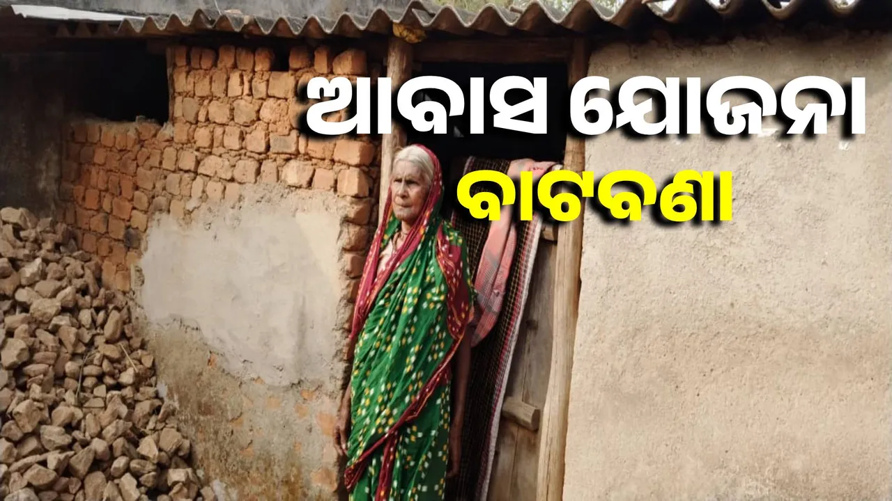  79-year-old helpless widow Junari lives in a dilapidated hut Photograph: (sambad.in) 