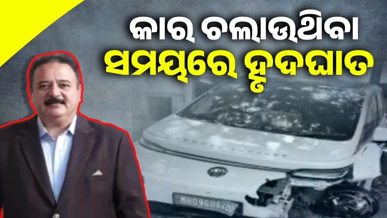  ଭୟାବହ ସଡ଼କ ଦୁର୍ଘଟଣା ସମ୍ପର୍କରେ ଜାଣି ପାରିଥିଲେ କି କୁକୁରଦଳ!