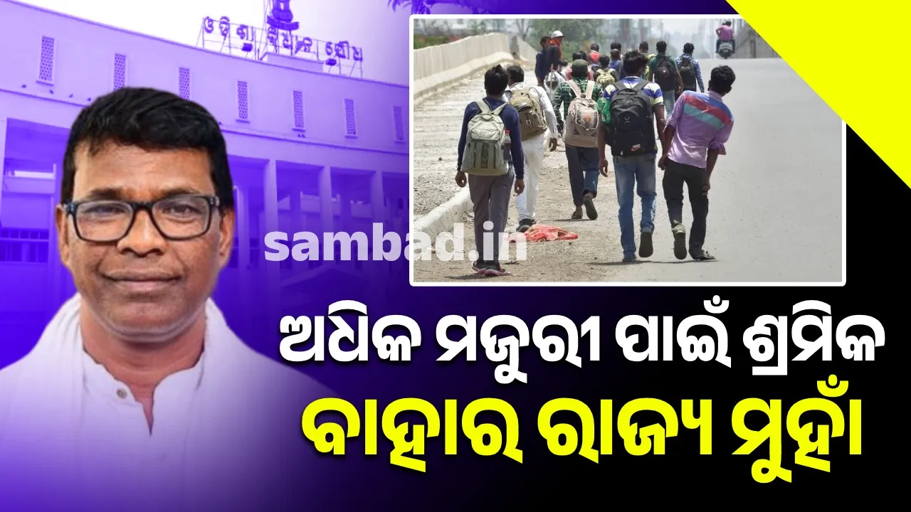 More than 73,000 migrant workers have left Odisha in 2 years: Minister Photograph: (sambad.in) 