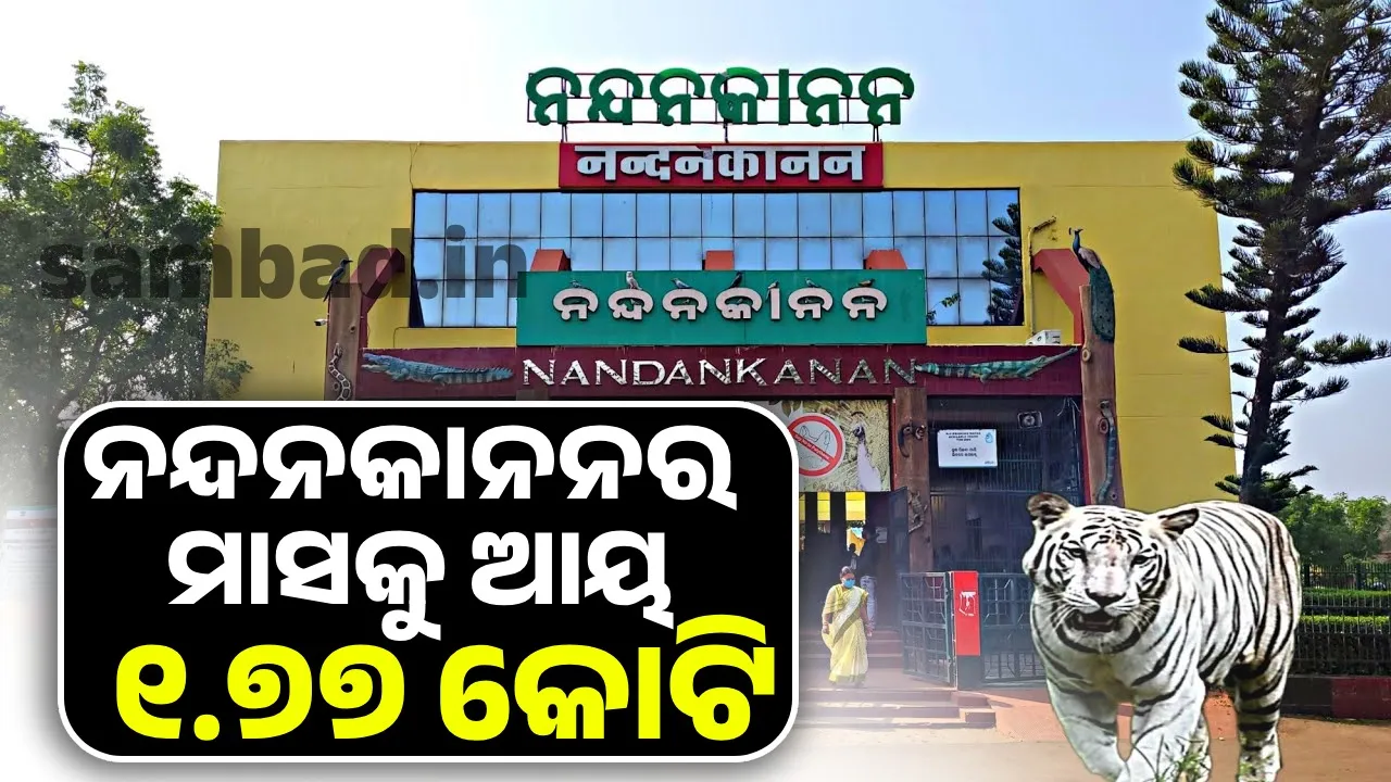  Monthly revenue of Rs 1.77 crore is being collected from Nandankanan Zoo: Minister Photograph: (sambad.in) 