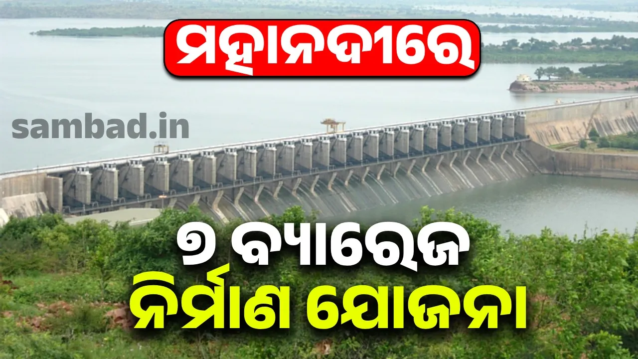  Odisha government to build 7 barrages in Mahanadi basin: Minister Photograph: (sambad.in) 