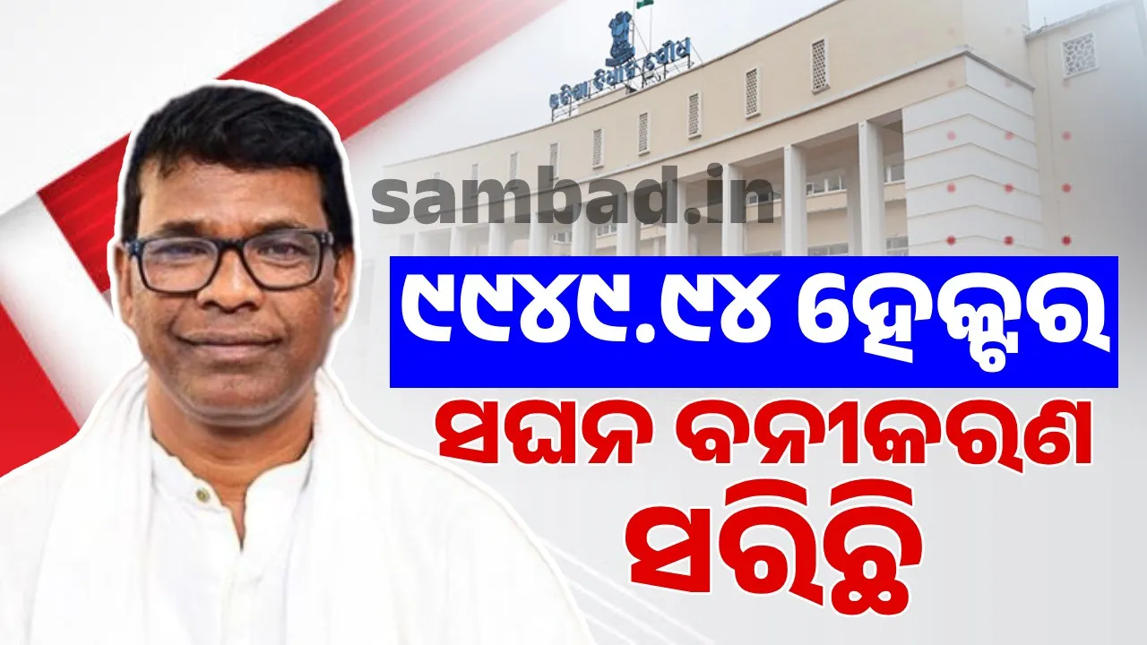  Emphasis is being placed on creating new forests in the Mahanadi basin: Minister Photograph: (sambad.in) 
