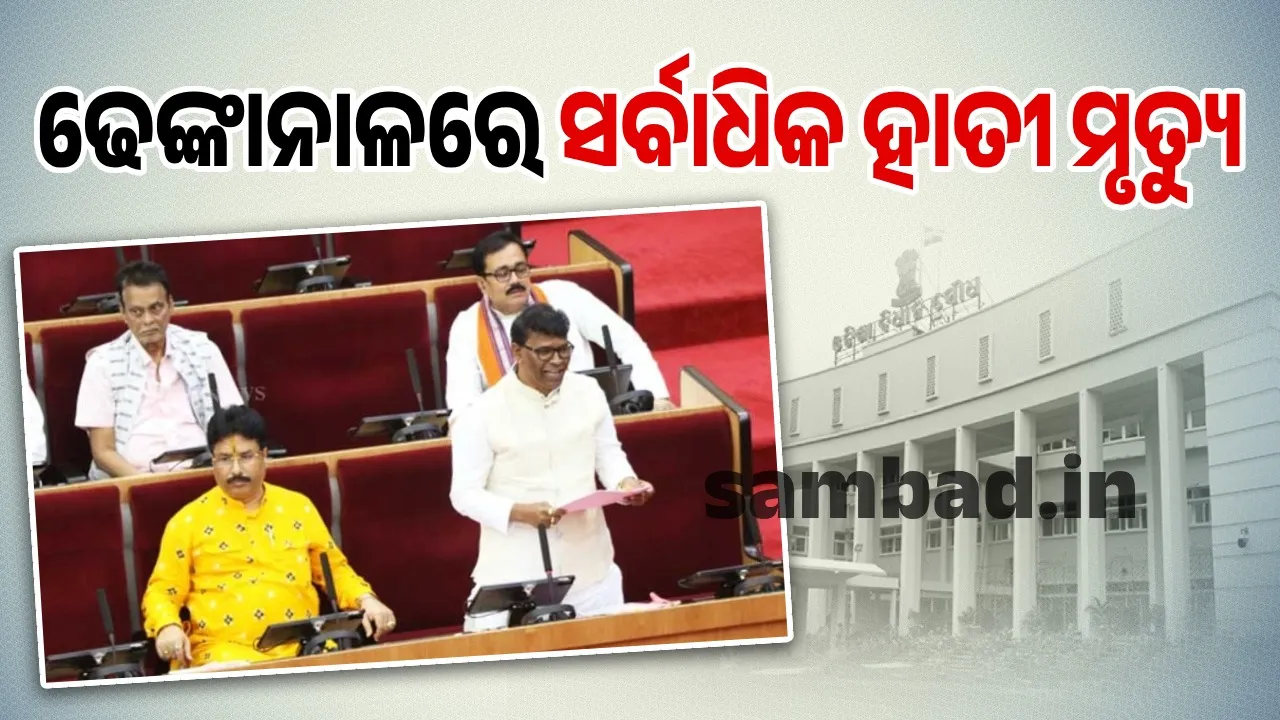  2,103 elephants in the state: Minister Photograph: (sambad.in) 