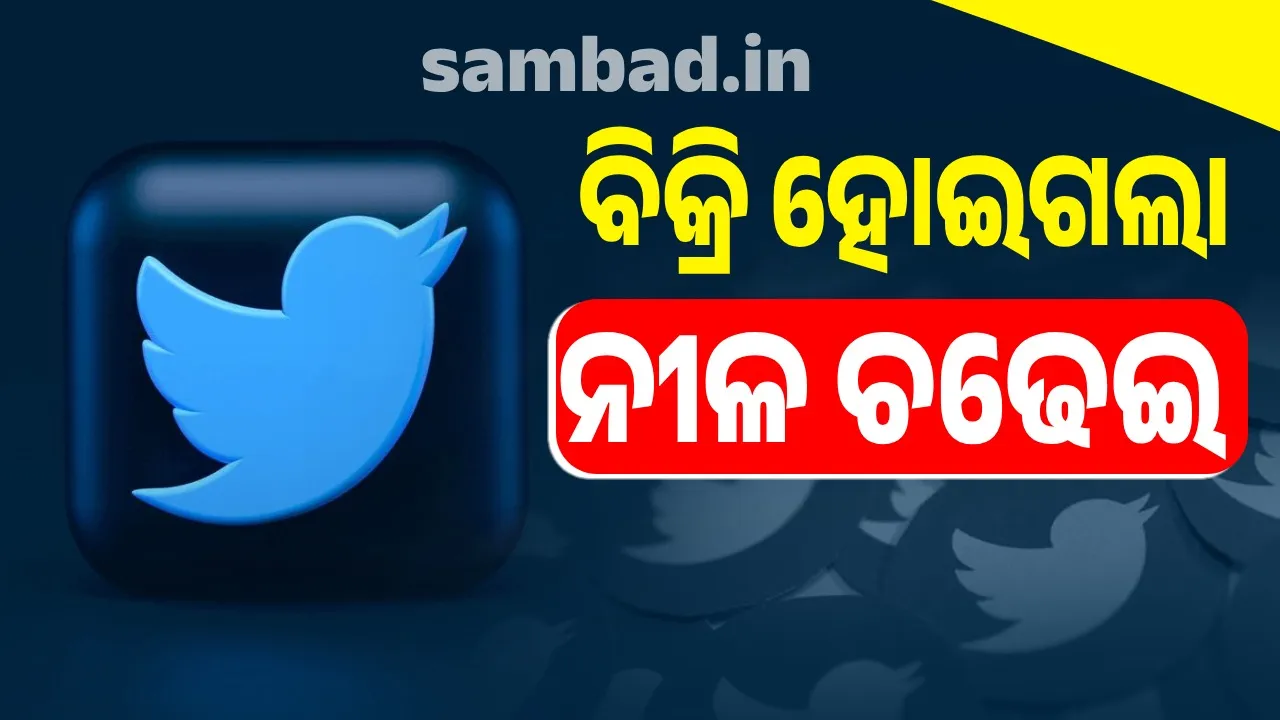  ବିକ୍ରି ହୋଇଗଲା ନୀଳ ଚଢେଇ