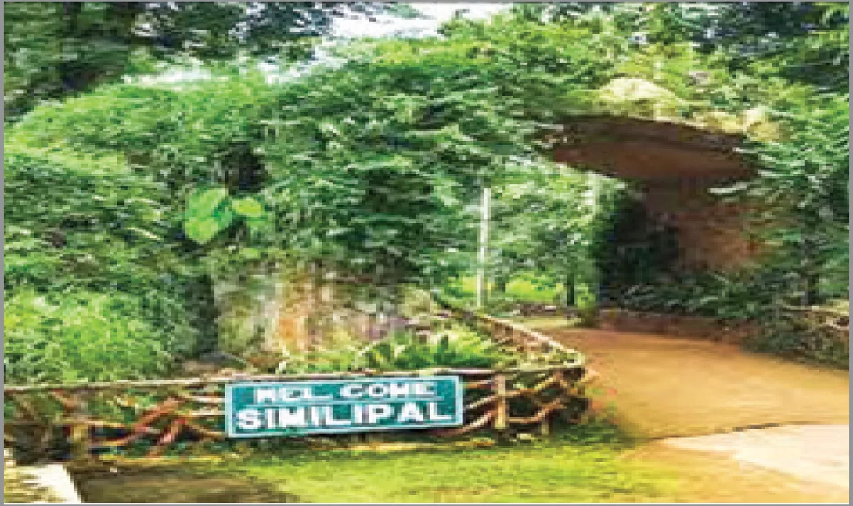  ଶିମିଳିପାଳରେ ପ୍ରବଳ ବର୍ଷା: ୨ ଦିନ ବନ୍ଦ ରହିବ ଅଭୟାରଣ୍ୟ