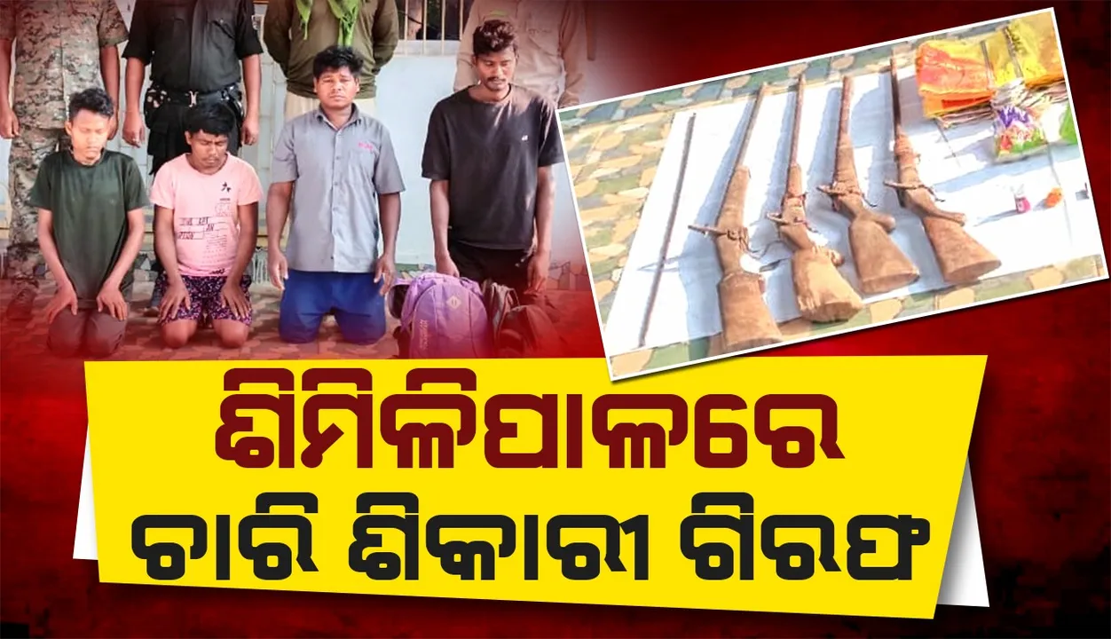  ଶିମିଳିପାଳରେ ଚାରି ଶିକାରୀ ଗିରଫ: ଅସ୍ତ୍ର ସହିତ ୪ଟି ଦେଶୀ ବନ୍ଧୁକ ଜବତ