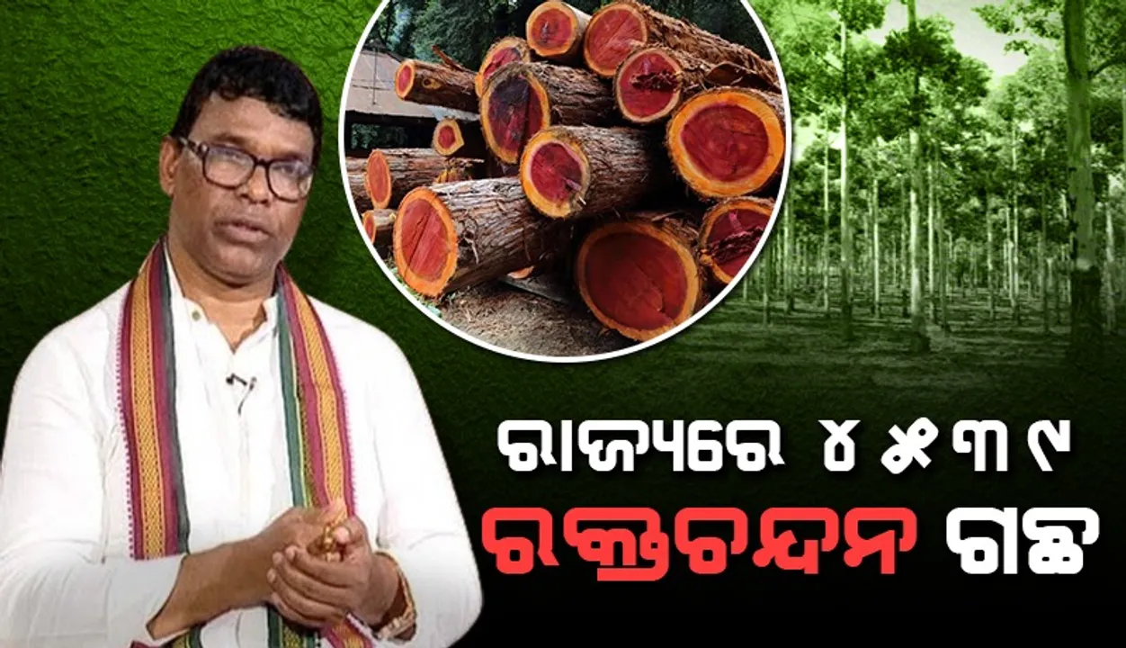  ଏପ୍ରିଲ ୯ରେ ଚତୁର୍ଥ ପର୍ଯ୍ୟାୟ ଚନ୍ଦନ ମଞ୍ଜ କାଠ ବିଶ୍ବସ୍ତରୀୟ ଈ-ନିଲାମ ଓ ଈ-ଟେଣ୍ଡର ମାଧ୍ଯମରେ ବିକ୍ରି ହେବ
