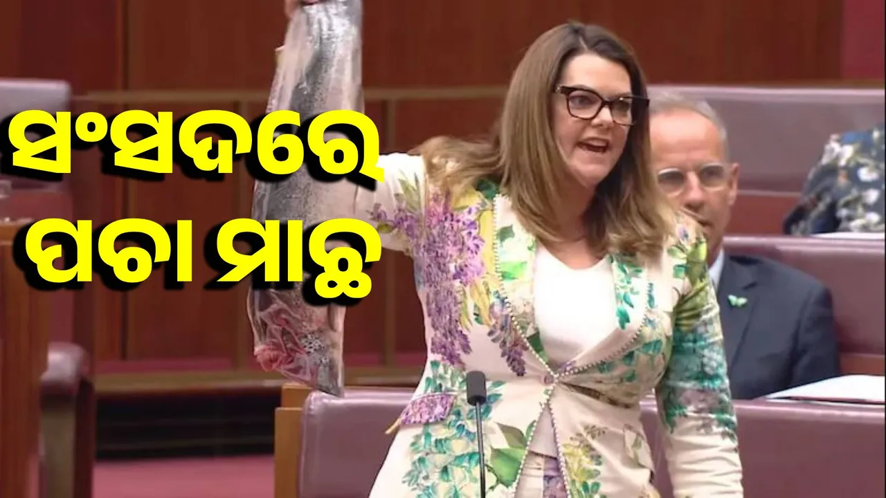  Leader arrives in Parliament with rotten fish Photograph: (Sambad.in) 