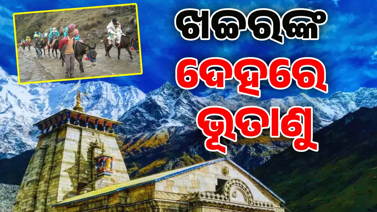  କେଦାରନାଥ ଯାତ୍ରା ପୂର୍ବରୁ ସଂକ୍ରମିତ ହେଲେ ୧୨ ଖଚ୍ଚର, ଭୟଭୀତ ଯାତ୍ରୀ