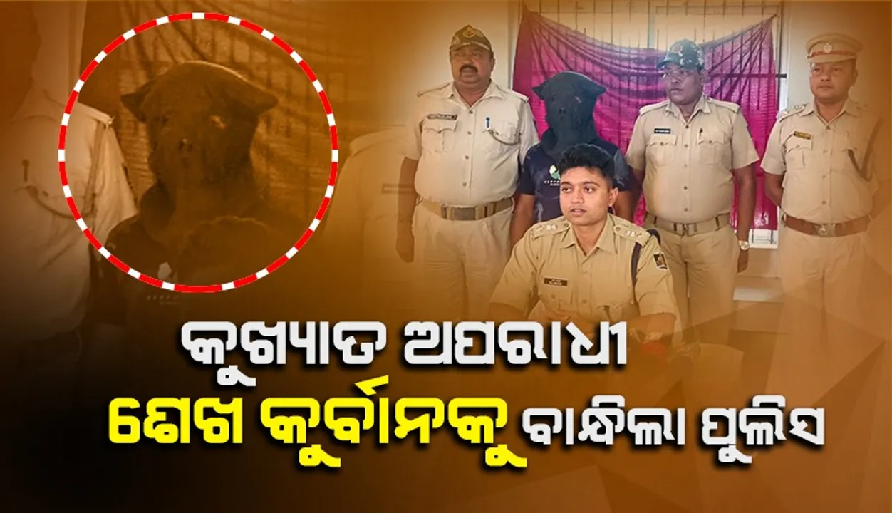  ଅରଡ଼ ବଜାରରୁ ୧୭ ଲକ୍ଷ ଟଙ୍କାର ବ୍ରାଉନସୁଗାର ଜବତ, କୁଖ୍ୟାତ ଅପରାଧୀ ଶେଖ କୁର୍ବାନକୁ ବାନ୍ଧିଲା ପୁଲିସ