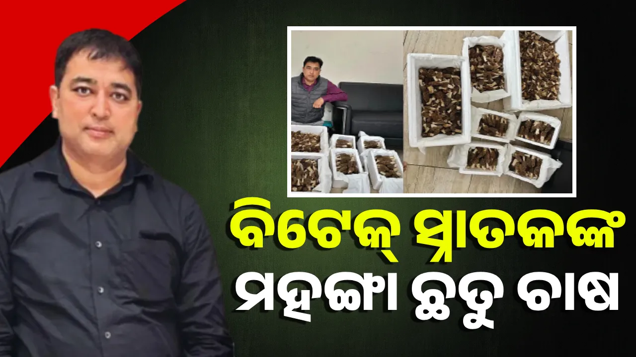  ଚଳନ୍ତିକା: ବିଟେକ୍‌ ସ୍ନାତକଙ୍କ ମହଙ୍ଗା ଛତୁ ଚାଷ