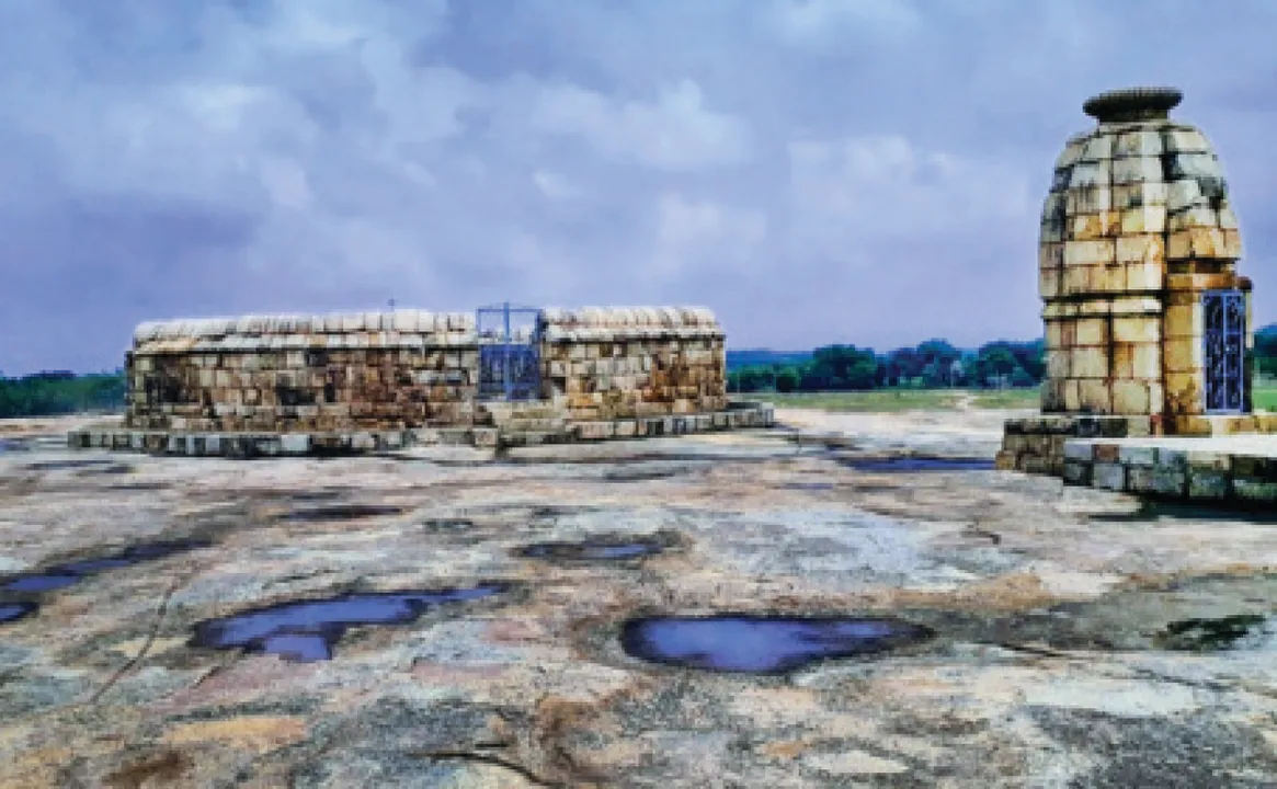  ସମ୍ଭାବନା ହରାଉଛି ରାଣୀପୁର ଝରିଆଲ: ନାଁ’କୁ ଜାତୀୟ ଐତିହ୍ୟ ମାନ୍ୟତା, ଭିତ୍ତିଭୂମି ଶୂନ