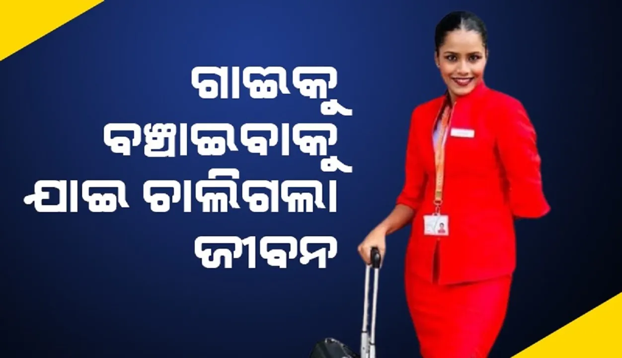  ସାଙ୍ଗମାନଙ୍କ ସହ ବୁଲିବାକୁ ବାହାରିଥିଲେ ହର୍ଷିତା, ଗାଈକୁ ବଞ୍ଚାଇବାକୁ ଯାଇ ଚାଲିଗଲା ଜୀବନ