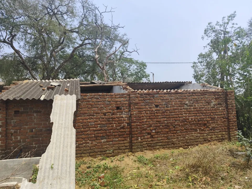  ଦେଓଗାଁ ବ୍ଲକରେ  କାଳବୈଶାଖୀର ତାଣ୍ଡବ,  ଦେଢ଼ କୋଟି ଟଙ୍କାର କେନ୍ଦୁପତ୍ର ନଷ୍ଟ
