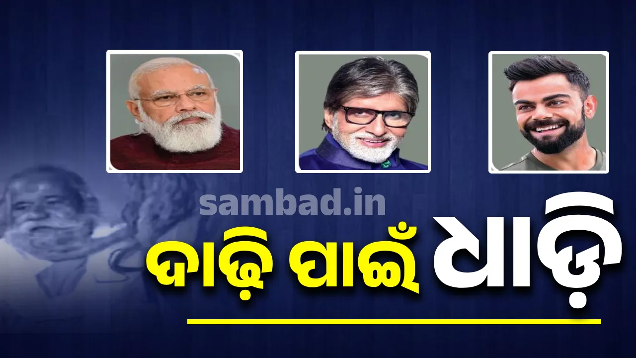  ଦାଢ଼ି ପାଇଁ ଧାଡ଼ି
