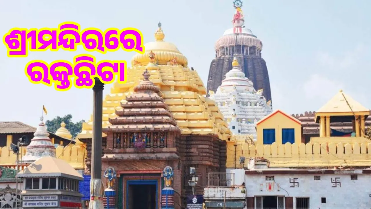  Blood spatter at temple: Mahasnan for deities, delay in rituals for father Photograph: (sambad.in) 