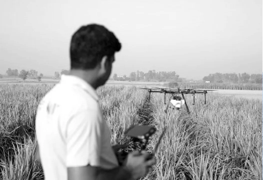  ଆଶା ଓ ଆକାଶ: ନୂତନ କୃଷି ବ୍ୟବସ୍ଥାର ଏକ ପରିକଳ୍ପନା