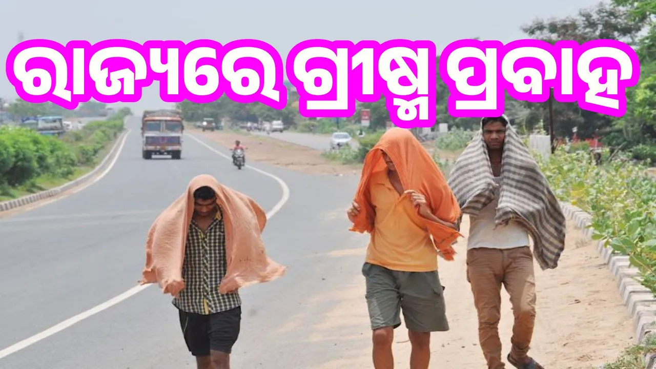 Odisha heatwave: No deaths due to heatstroke confirmed so far, says Public Health Director Photograph: (sambad.in) 