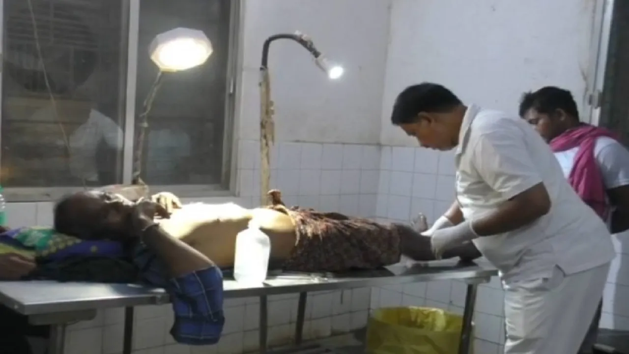  2 goat herders seriously injured in Boar attack Photograph: (sambad.in) 