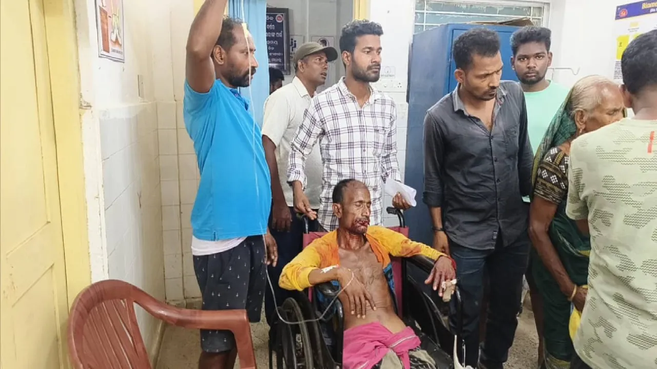 Four people, including a woman, seriously injured in a fox attack Photograph: (sambad.in) 
