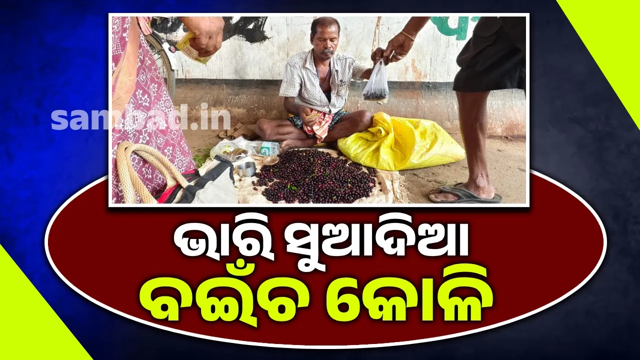  ଚାହିଦା କମିନି: ଆଦରରେ ବଇଁଚ କୋଳି କିଣୁଛନ୍ତି ଗ୍ରାହକ