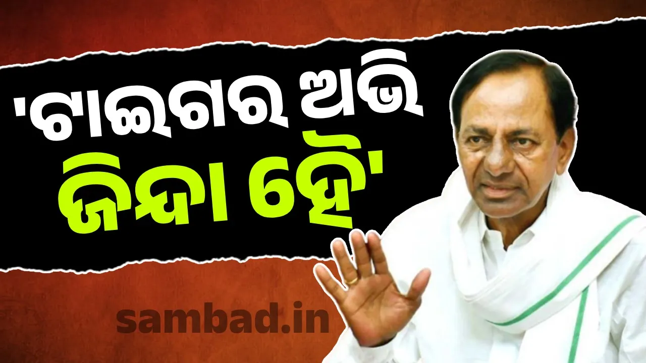 Two years later, KCR is back in his old form: He said, 'Tiger Abhi Zinda Hai' at his first rally Photograph: (sambad.in) 
