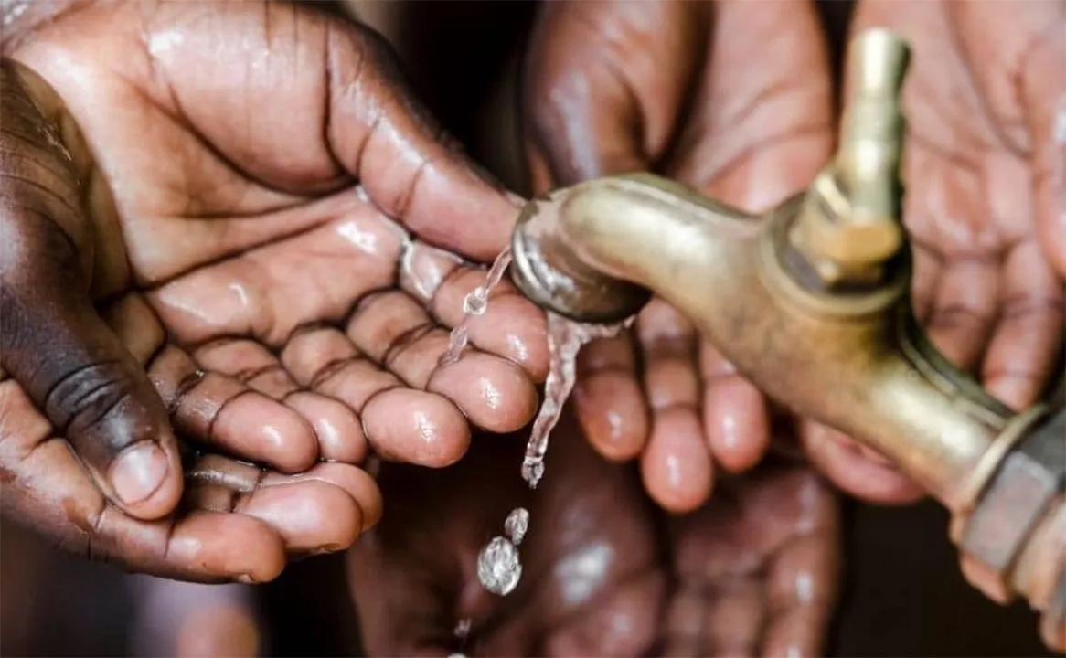  Photograph: ( Earth.Org) 