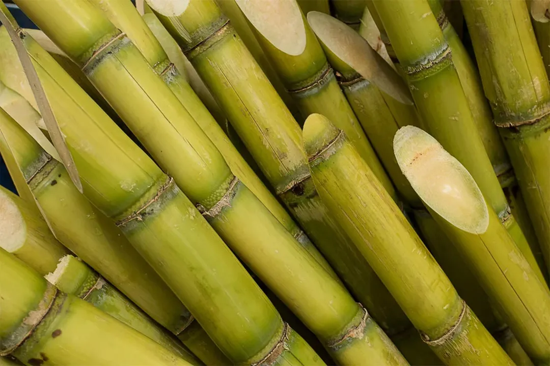  Photograph: ( My Exotic Fruit) 