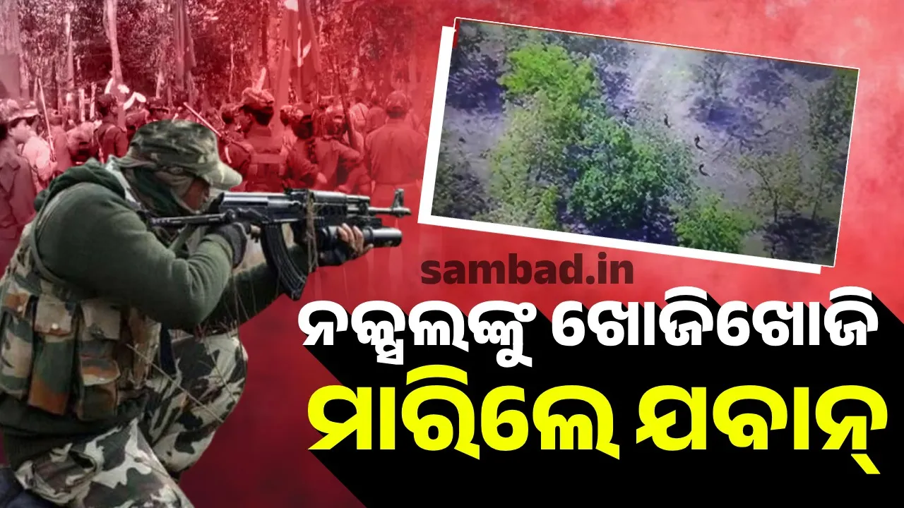  Naxals killed in Malkangiri Photograph: (sambad.in) 