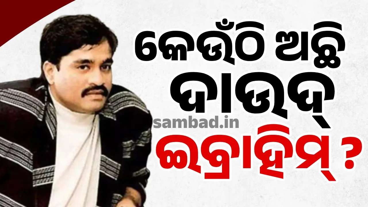  କେଉଁଠି ଅଛି ଦାଉଦ୍ ଇବ୍ରାହିମ୍ ?