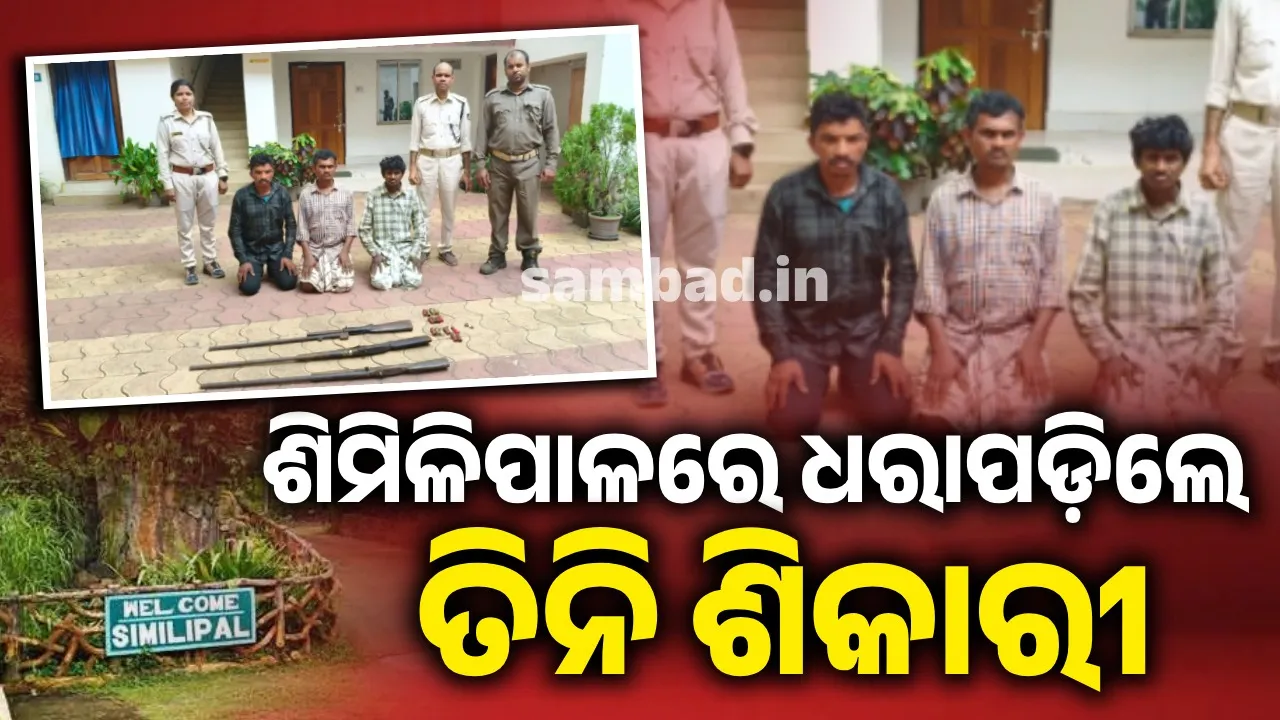  ଶିମିଳିପାଳ ଜାତୀୟ ଉଦ୍ୟାନରେ ଏ ଆଇ ସୁରକ୍ଷା ପ୍ରଣାଳୀ ଫଳପ୍ରଦ: ବନ୍ଧା ହେଲେ ତିନି ଅଭିଯୁକ୍ତ