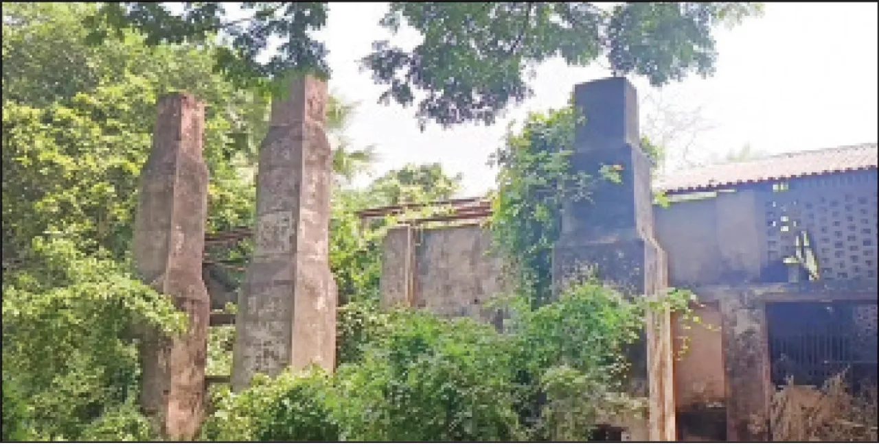 ପଡ଼ୋଶୀ ଜିଲ୍ଲା ଭରସାରେ ଆଖୁଚାଷ: ଜୀବନ ଖୋଜୁଛି ବରୀ ଚିନିକଳ, ଇଥାନଲ୍‌ ପ୍ଲାଣ୍ଟ ପାଇଁ ସାଂସଦଙ୍କ ପ୍ରସ୍ତାବ