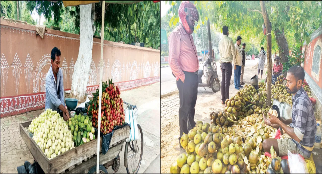  ରାଜଧାନୀରେ ଲିଚୁ ଓ ତାଳସଜ ପସରା