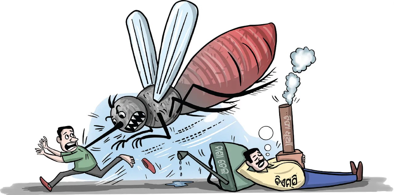  କଲବଲ କରୁଛନ୍ତି ମଶା: ଦିନରାତି ନିସ୍ତାର ନାହିଁ, ଘରେ ବାହାରେ ରଖେଇ ଦେଉନାହାନ୍ତି