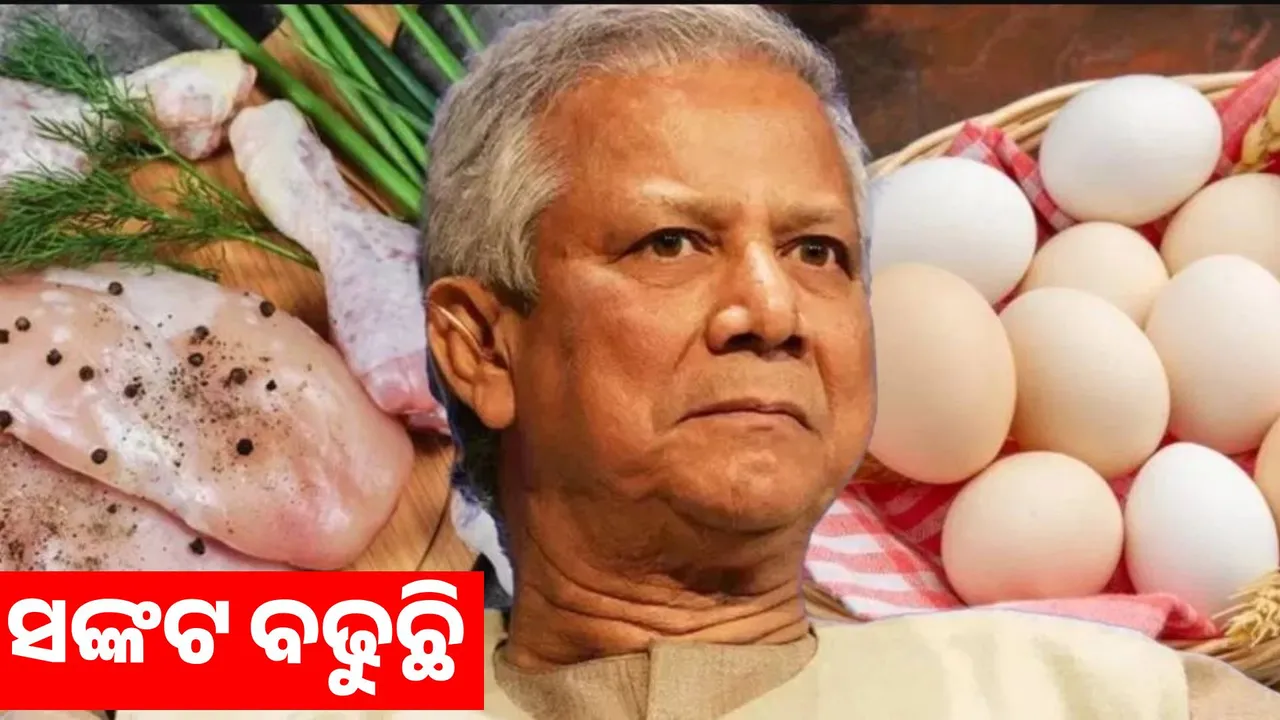 Eggs more expensive than chicken: Crisis in Bangladesh Photograph: (sambad.in) 