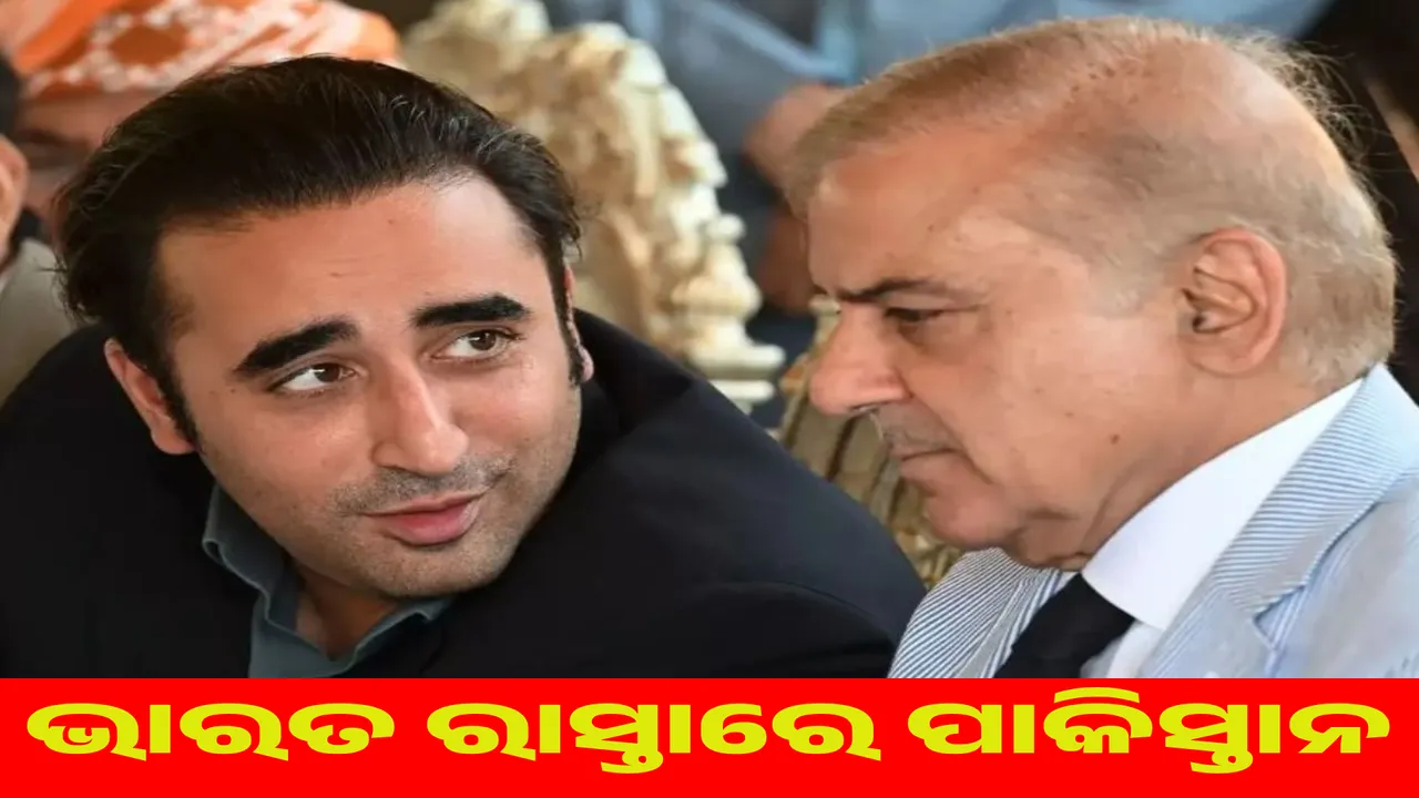  Pakistan followed India's lead: Will send MP's representative to foreign country, Bilalwal Bhutto will take charge Photograph: (sambad.in) 