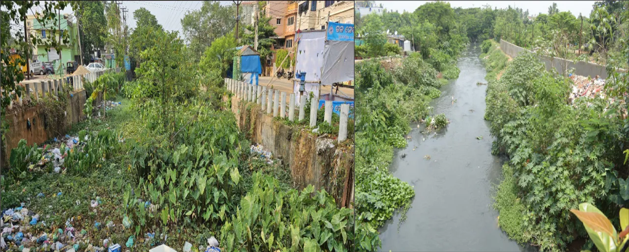  ଅବରୋଧମୁକ୍ତ ହେଲାନି ଦୟା ୱେଷ୍ଟ କେନାଲ୍‌ ଓ ଗଙ୍ଗୁଆ ନାଳ: କନ୍ଦାଇବ ପ୍ରାକୃତିକ ନାଳ