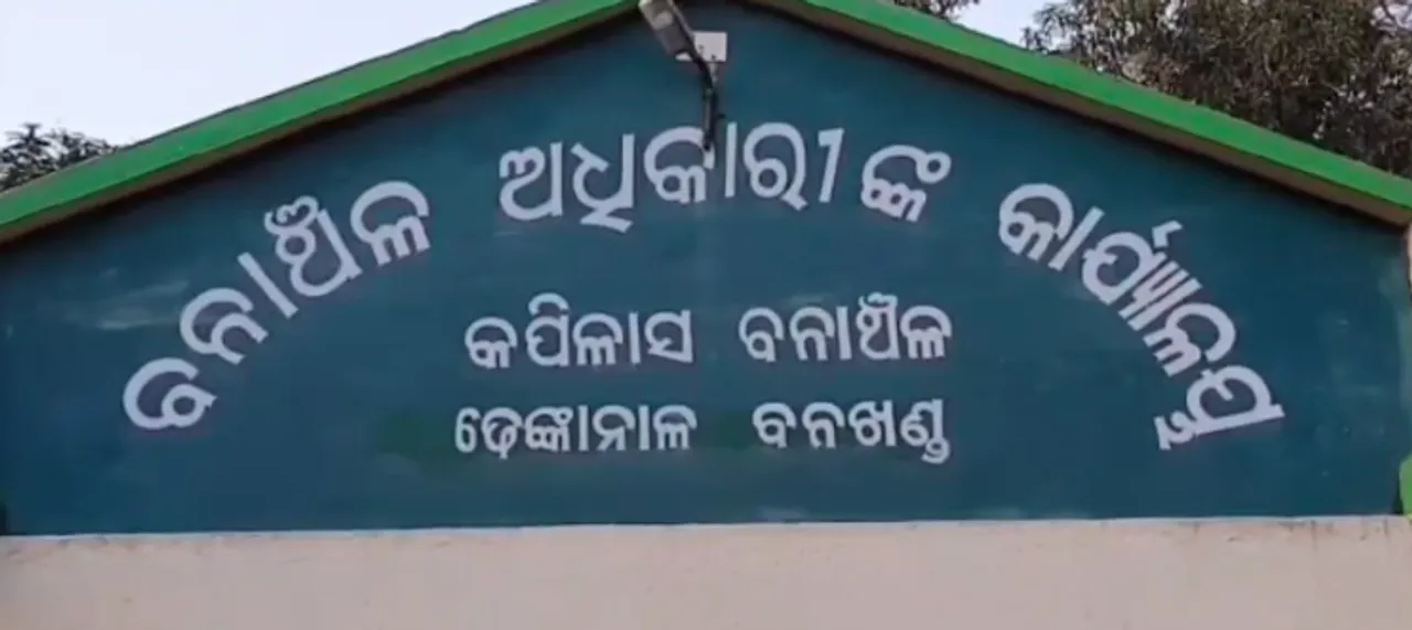  ଆମ୍ବ ଗୋଟାଇବାକୁ ଯାଇଥିଲେ ବୃଦ୍ଧା: ଦଳିଦେଲା ଦନ୍ତା