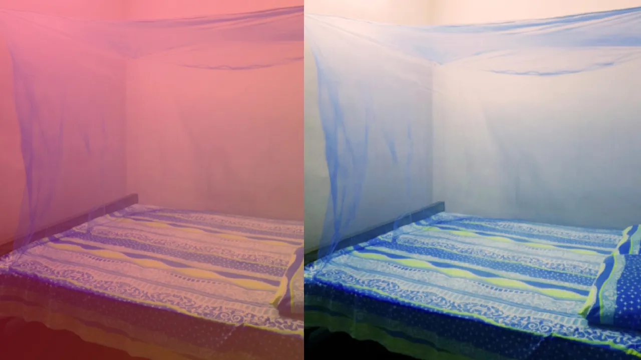  Mosquito Net Photograph: (sambad.in) 