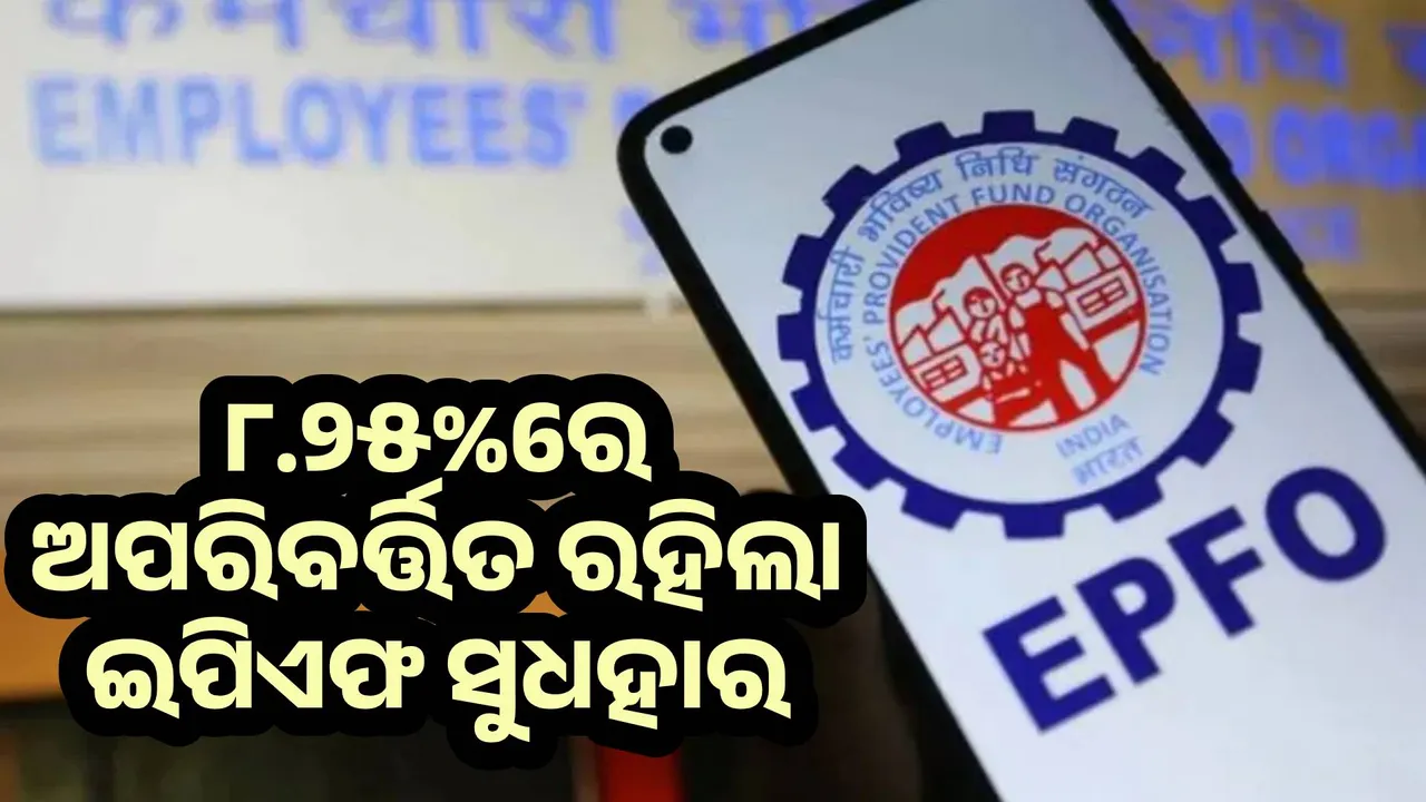 ୨୦୨୪-୨୫ ପାଇଁ ୮.୨୫%ରେ ଅପରିବର୍ତ୍ତିତ ରହିଲା ଇପିଏଫ ସୁଧହାର