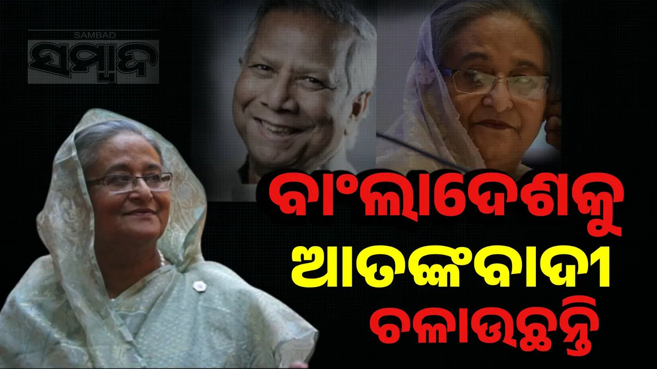  Sheikh Hasina Photograph: (sambad.in) 