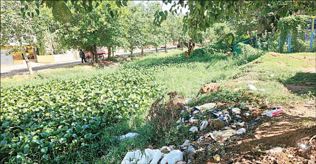  କେବେ ବଦଳିବ ଦୟା ୱେଷ୍ଟ୍‌ କେନାଲ୍‌ ଚିତ୍ର? ୨୪୧୭ ହେକ୍ଟର ଜମିକୁ ଜଳସେଚିତ କରୁଥିଲା, ଏବେ ୧୨୫୫ ହେକ୍ଟର
