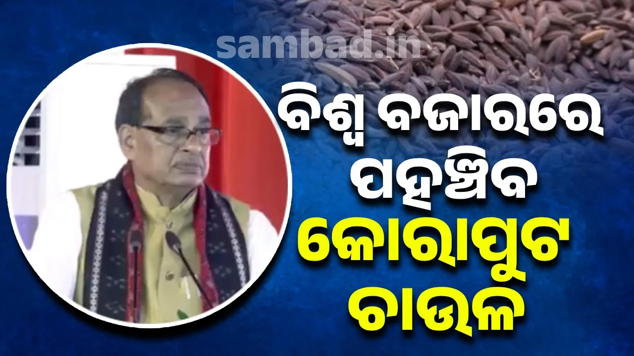  Koraput rice will reach the global market: Shivraj Photograph: (sambad.in ) 