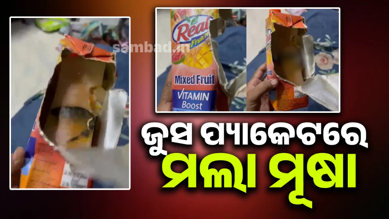 ଅନଲାଇନରୁ ଅର୍ଡର କରିଥିବା ଜୁସ ପ୍ୟାକେଟରୁ ବାହାରିଲା ମଲା ମୂଷା