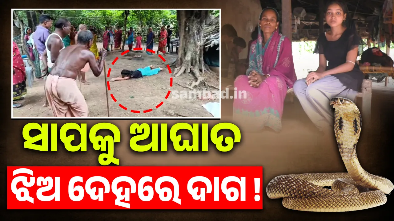  ସାପ ଭଳି ଆଚରଣ କରନ୍ତି ଉଦଳାର ମିନାକ୍ଷୀ